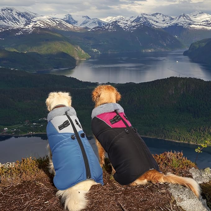 ROZKITCH Dog Jacket for Cold Weather, Dog Coat for Autumn Winter with Turtleneck, Pet Clothes with Adjustable Buckles, Soft Warm Pet Clothing with Reflective Strip for Medium Large Dogs Black M