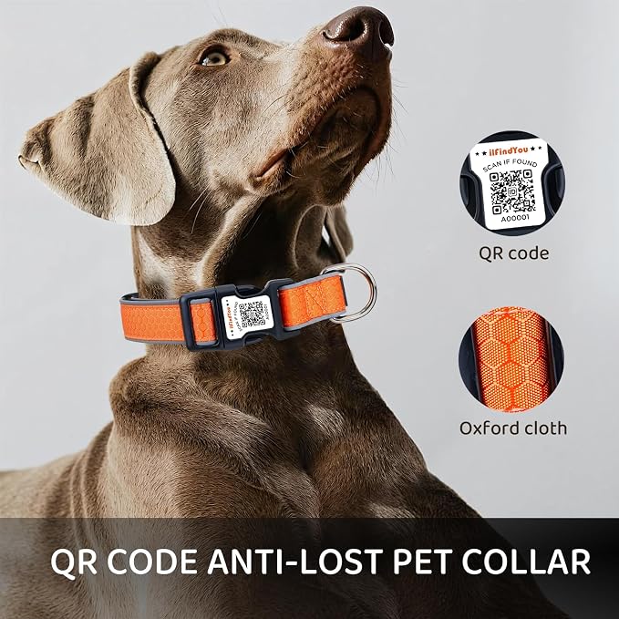 Personalized Dog Collar with QR Code Dog Tag, Oxford Orange L | Anti-lost, Oxford, reflective, padded, XS-L(8"-24"), QR buckle shares lost pet profile, location alerts when scanned, No Fees