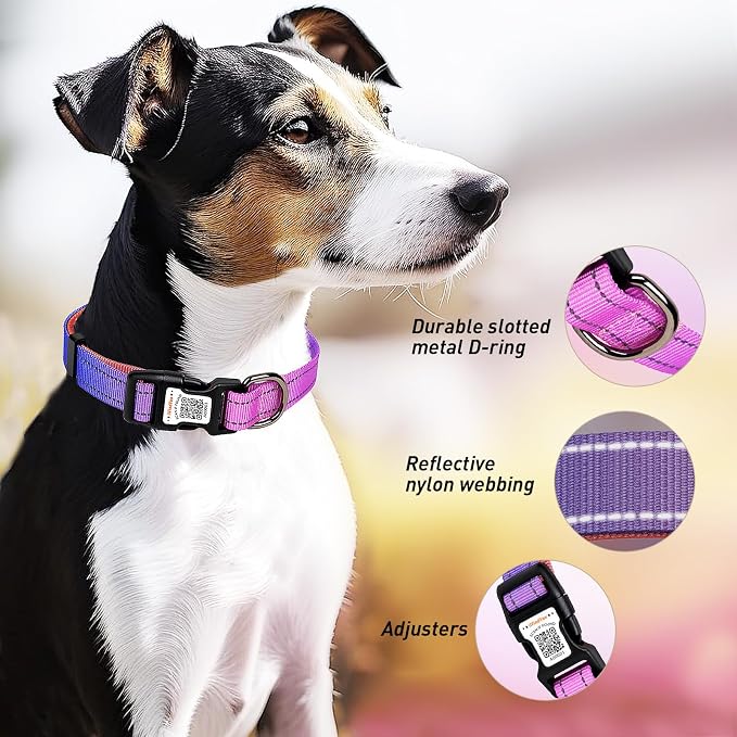 Personalized Dog Collar with QR Code Dog Tag, Blue&Rose Red L | Anti-lost, 1000D nylon, reflective, padded, XS-L(8"-24"), QR buckle shares lost pet profile, location alerts when scanned