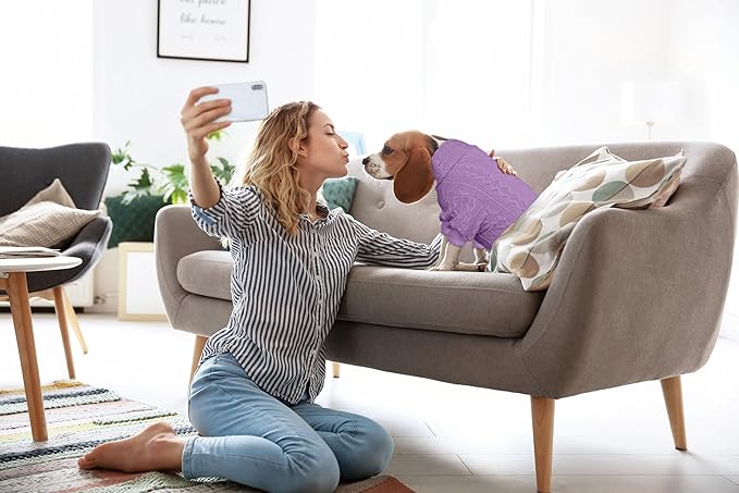 Dog Sweater Turtleneck Knitted Pet Clothes Solid Color Puppy Sweater Warm Dog Sweaters for Small Medium Dogs(Purple&S/M)