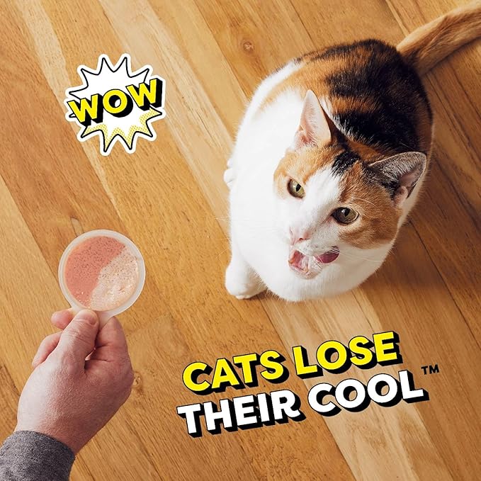 Temptations Lickable Spoons Adult Wet Cat Treat, Tasty Chicken and Savory Salmon Flavor, 8 Spoons, Pack of 12 (96 Total)