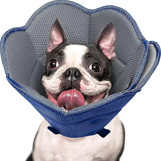 Dog Cat Cone Collar Soft Breathable Cone for Dogs After Surgery to Stop Licking,Cat Recovery Collars & Cones Alternative Dog Cat Cone Collar Soft