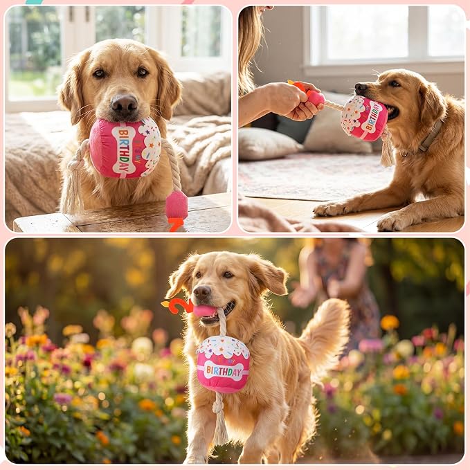 Dansydaisy Dog Birthday Cake Toy Squeaky Plush Gift,2nd,Rose Pink