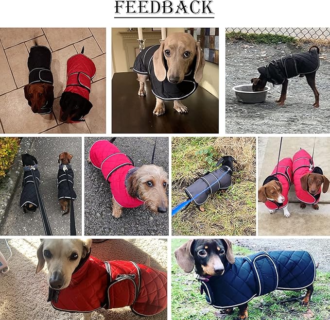Dachshund Coat Dog Coats for Dachshunds Dachshund Winter Jacket with Padded Fleece Outdoor Dog Clothes with Adjustable Bands - Red - L