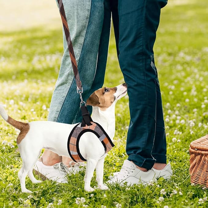 PUPTECK Adjustable Dog Harness Collar and Leash Set Step in No Pull Pet Harness for Small Medium Dogs Puppy and Cats Outdoor Walking Running, Soft Mesh Padded Reflective Vest Harnesses, Orange XXS