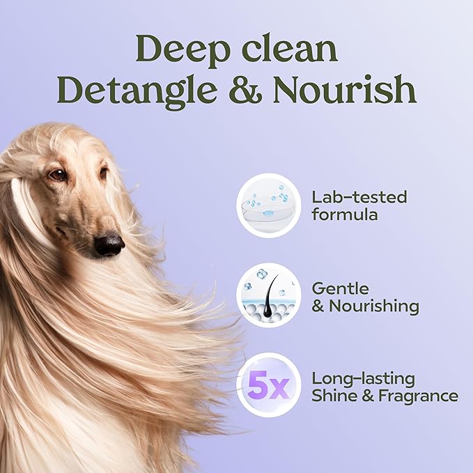 PAWFUME Dog Shedding Shampoo and Conditioner, Royal Lavender, 2-Pack – Nourish & Detangle for Silky Soft Coat – Probiotic, Deep-Cleaning, pH-Balanced – Salon-Quality Shedding Shampoo for Dogs