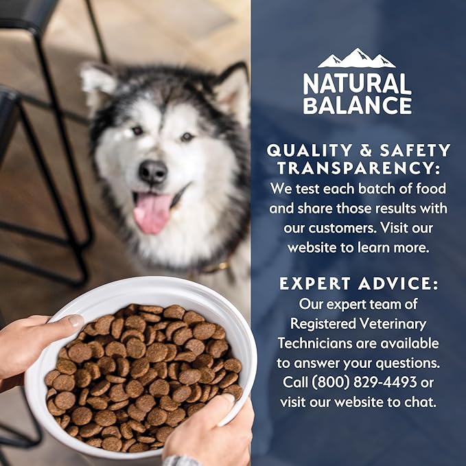 Natural Balance Health Protection Dry Dog Food – Whole Body Health, Easy on Digestion Dog Food Made with Salmon, Brown Rice & Pumpkin for Dogs - 22lbs.