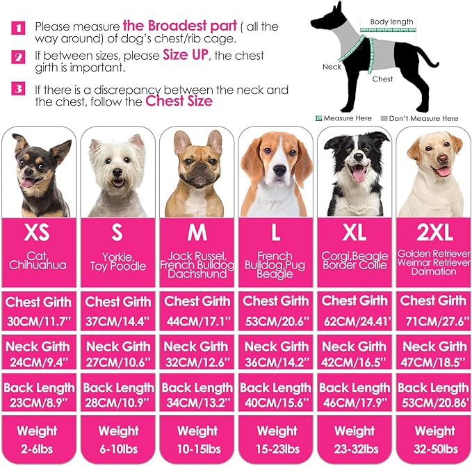 AOFITEE Dog Sweater, Medium Dog Sweater Girl Boy, Soft Turtleneck Pet Pullover for Winter Fall, Dogs Sweaters Dogs Knitwear for Jack Russell, Mini Dachshund, Boston Terrier, Schnauzer, M