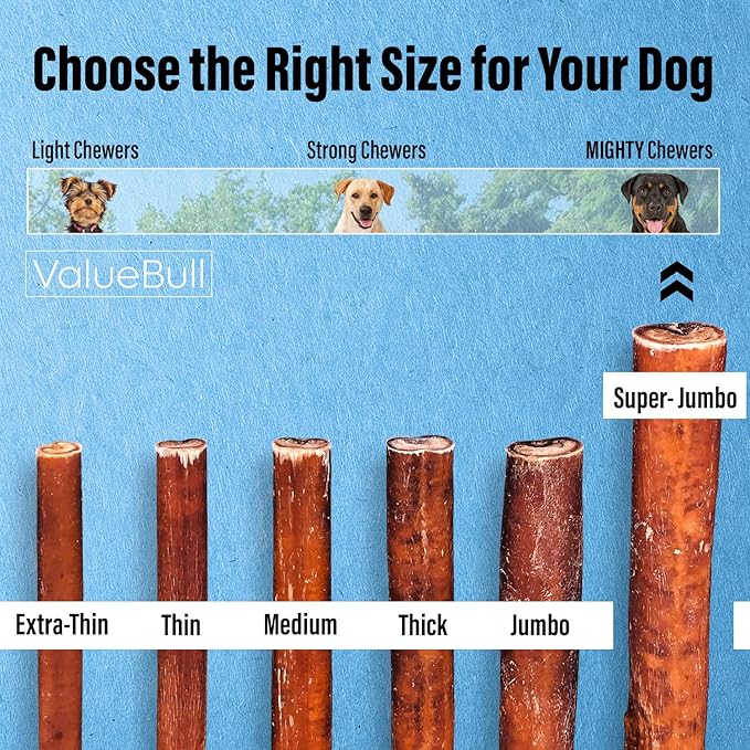 ValueBull Bully Sticks for Large Dogs, Super Jumbo 6 Inch, 100 Count Bulk Pack - All Natural, Grass Fed, Single Ingredient, Long Lasting Dog Treats for Aggressive Chewers