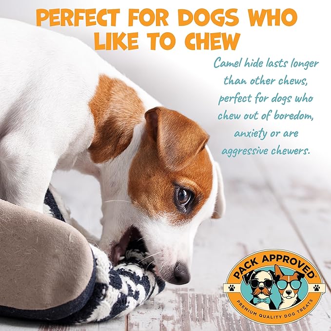 Camel Skin Dog Chews for Aggressive Chewers - Hypoallergenic Natural Collagen Sticks for Dental Health & Protein Boost - Long Lasting Treats for Large Dogs