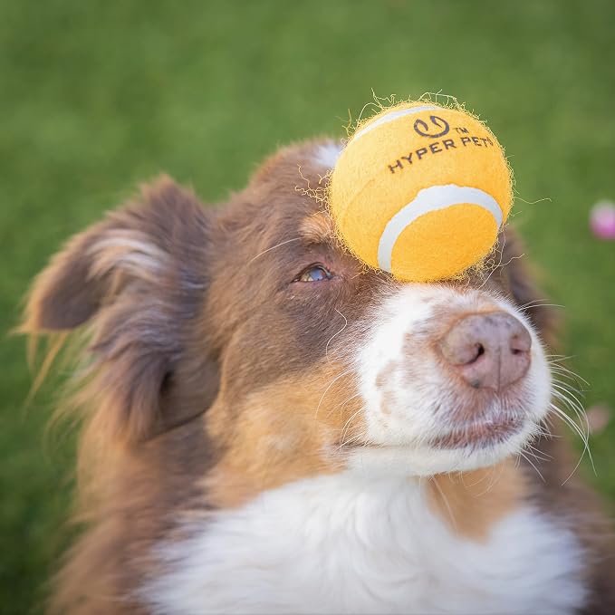 Hyper Pet Tennis Balls for Dogs (Safe Ball for Exercise and Training) Interactive Dog Toys work with Hyper Pet K9 Kannon K2 Dog Ball Launcher - 4 Pack 2.5" Orange