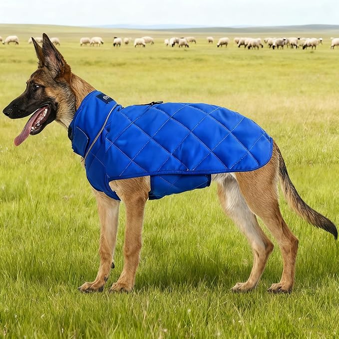 Weighted Dog Vest, Tactical Weight Coat with Beads for Dogs Anxiety- Relieve Stress, Build Muscle & Optimize Health, Premium Heavy Duty Dog Training Jacket for Exercise and Strength (Blue, M)