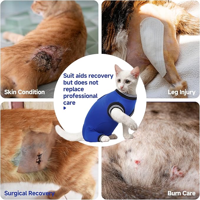 Stress-Free Cat Recovery Suit for Female Cats - Vet-Backed E-Collar Alternative, Anti-Lick & Rear Access Design RoyalBlue S