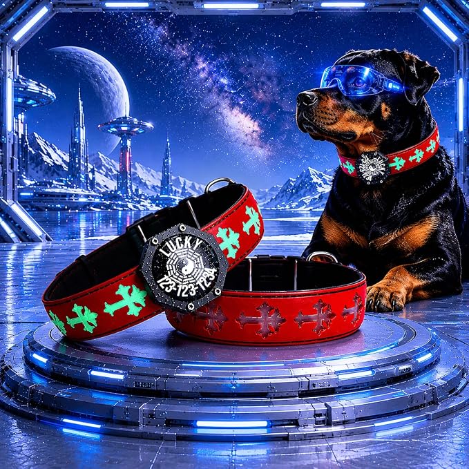 Light Up Glow Dog Collar with Chinese Style Holder Compatible with AirTag