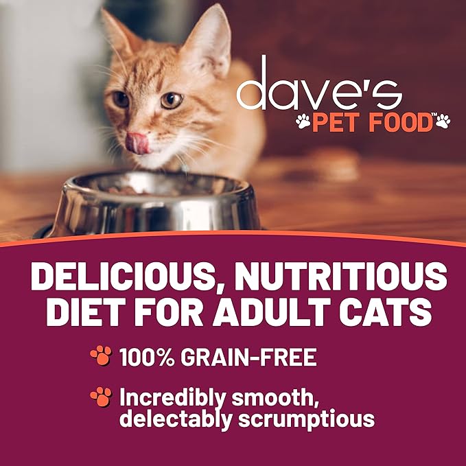 Dave's Pet Food Grain Free Wet Cat Food (Shredded Chicken in Gravy), Made in Canada Naturally Healthy Canned, Added Vitamins & Minerals, Wheat & Gluten-Free, GMO-Free, 5.5oz (24 Pack)