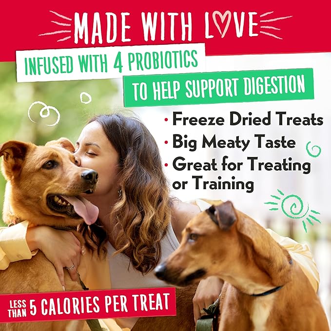 Charlee Bear Grain Free Meaty Bites Freeze Dried Dog Treats, Salmon and Sweet Potato, 2.25 Ounce Resealable Bag, Training Treats or Meal Topper Dogs, High Protein Dog Snacks, Made in USA