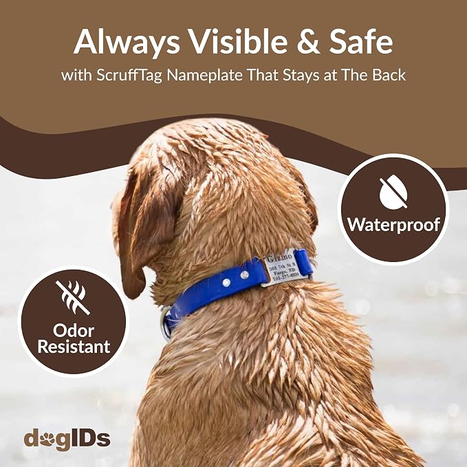 dogIDs Personalized Dog Collar – ScruffTag Custom Waterproof Biothane Dog Collar with Laser-Engraved Name, Durable & Odor-Resistant – USA Made | Creamsicle, 1 in x 18 in (Fits Neck Sizes 16-20 in)