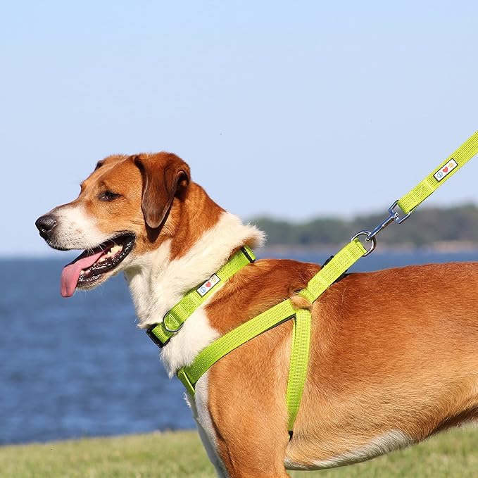 Pawtitas Reflective Step-in Dog Harness – Adjustable No-Pull Vest for Puppies to Seniors, Safe & Comfortable, L Orange