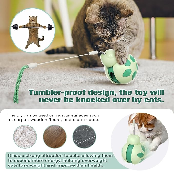 Cat Treat Dispenser Tumbler Food Toy Cat Slow Feed Ball Wand Teaser (Green)
