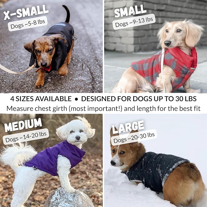 DJANGO Reversible Puffer Dog Coat – Warm Winter Dog Jacket & Water-Repellent Insulated Dog Coat with Harness Hole, Windproof, Adjustable Fit Vest for Small & Medium Dogs, Dachshunds – Black, Small