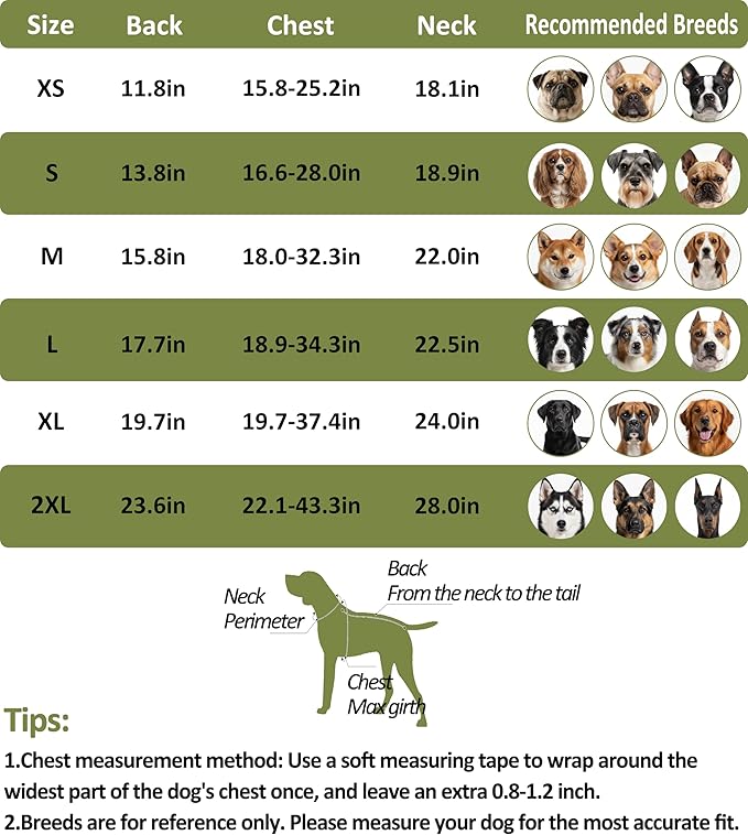 Ultra-Warm Dog Winter Coat for Hiking & Running, Adjustable Puffer Jacket with Anti-Slip Leg Straps, Water-Repellent Shell & Breathable Mesh Lining for Active Dogs (Aurantium, Large)
