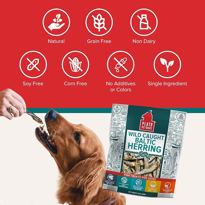 Plato Pet Treats Fish Dog Treats - Air-Dried, Single Ingredient Pet Treat - Omega 3 & 6 Fatty Acids to Support Skin and Coat - 100% Whole Fish - Wild Caught Baltic Herring - 8.5 oz - 2 Pack