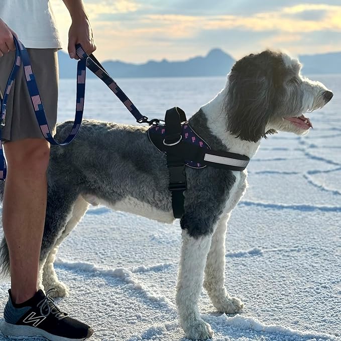 ShawnCo Essential Dog Harness, No-Pull Pet Vest with 3 Leash Clips, No Choke, Reflective, Adjustable and Padded, for Easy Walking and Training for Small, Medium and Large Dogs (USA Flag,L)