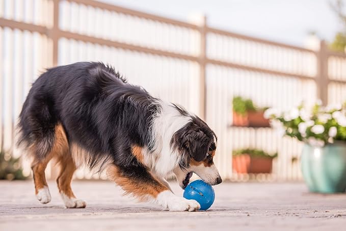 Outward Hound Guru Treat-Dispensing Puzzle Ball Dog Toy, Blue