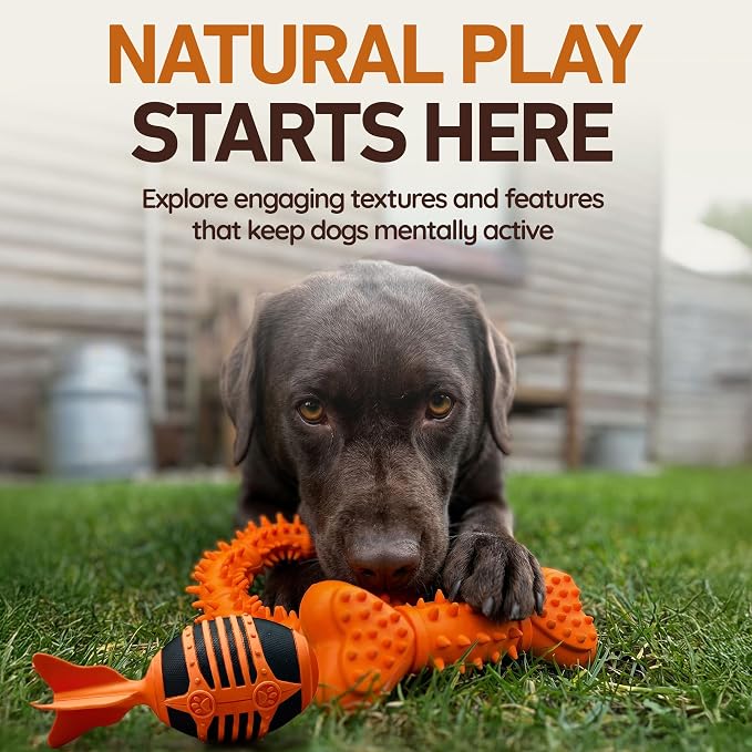 Wildfang® Squeaky Dog Toys for Aggressive Chewers, Kristoff - Natural Rubber Dog Bones, Supports Dental Health, Teething, Outdoor & Indoor Play Dog Toy for All Breeds
