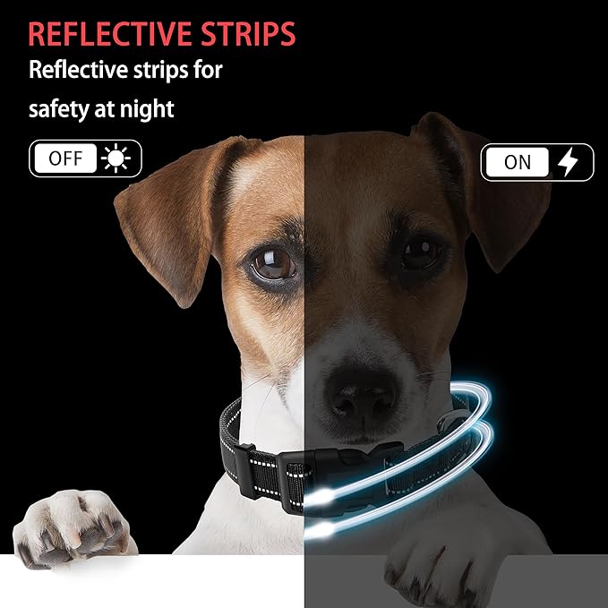 Reflective Dog Collar with Safety Locking Buckle, Adjustable Soft Breathable Nylon Collars for Small, Medium and Large Dogs(Collar+Leash L Black)