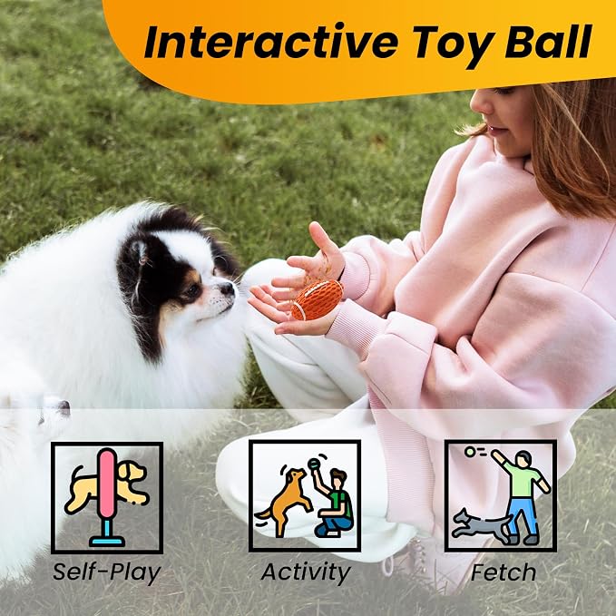 Puppy Toy, 2 Pack Interactive Squeaky Dog Ball for Small Dogs