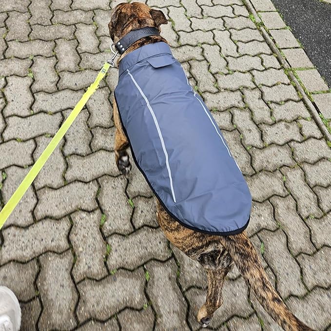 Mile High Life Dog Raincoat, Adjustable Waterproof Reflective Rain Jacket for Small Medium Large Dogs, Lightweight Breathable Pet Rain Coat with Leash Hole(Dark Gray,S Chest 22-25")