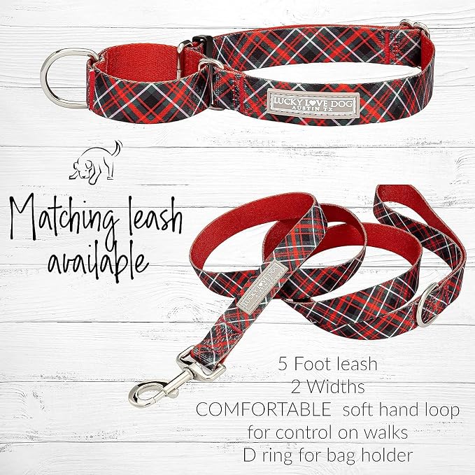Lucky Love Dog Martingale Collar & Leash Set No Slip Cute – Heywood, Medium