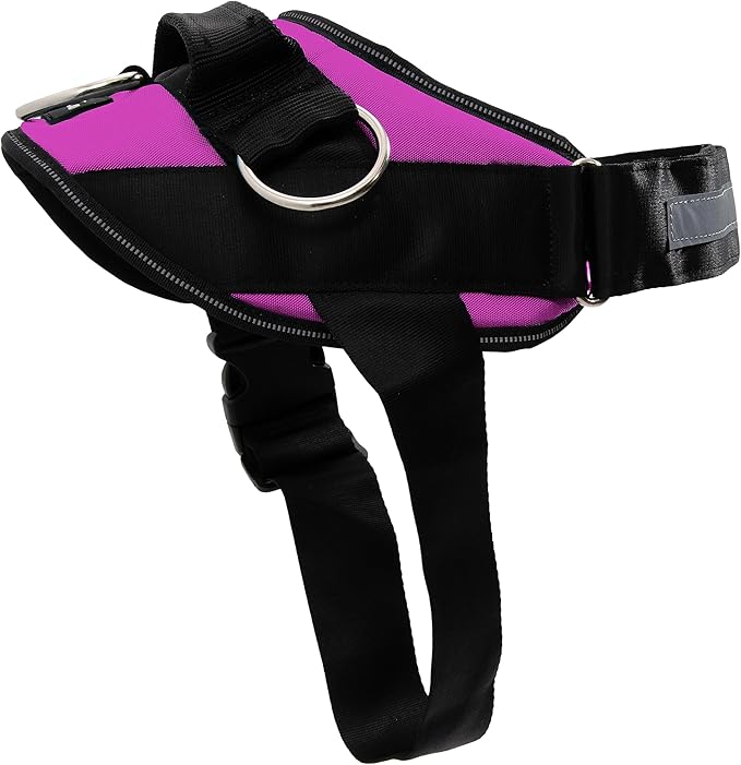 ShawnCo Essential Dog Harness, No-Pull Pet Vest with 3 Leash Clips, No Choke, Reflective, Adjustable and Padded, for Easy Walking and Training for Small, Medium and Large Dogs (Orchid, XL)