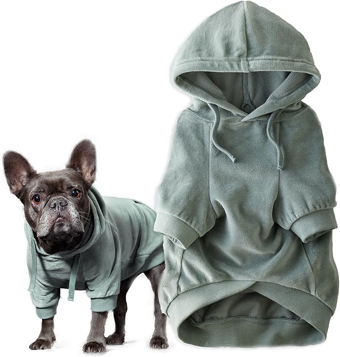 Cooper II Organic Cotton Velour Dog Hoodie Pet Coat for Small, Medium and Large Dogs, Sage, X-Large (55-80 lbs)