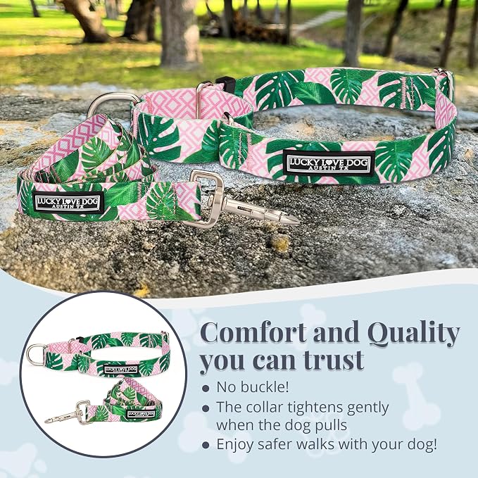 Lucky Love Dog Martingale Collar & Leash Set No Slip Cute – Laguna, Large
