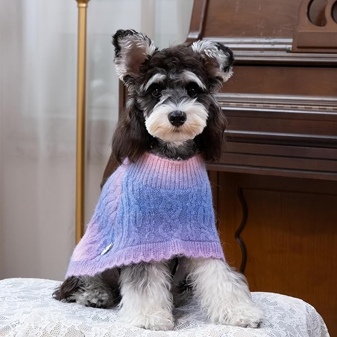 Rainbow Mohair Dog Poncho, Cold Weather Cable Dog Sweater for Small Dogs, Classic Turtleneck Thick Puppy Clothes with Leash Hole DS93S