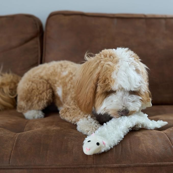 SPOT Skinneeez Crinklers Lamb - Stuffing-Free Dog Toy with Crinkle & Squeaker Sounds, Durable for Moderate Chewers, Tug Toy for Small Dogs & Puppies, 14in