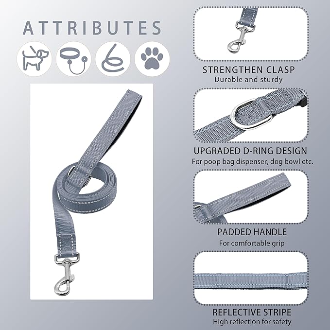 Reflective Dog Collar with Safety Locking Buckle, Adjustable Soft Breathable Nylon Collars for Small, Medium and Large Dogs(Collar+Leash XS Width 5/8" Gray)