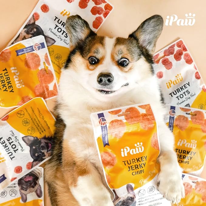 iPaw Chicken Tots Dog Treats for Puppy Training, All Natural Human Grade Dog Treat, Hypoallergenic, Easy to Digest (Chicken Tots), 5 Packs