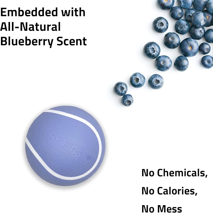 Playology Squeaky Chew Ball Dog Toy - Jumbo, Blueberry Scent