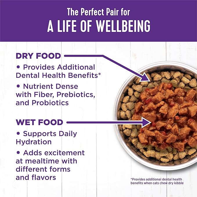 Wellness Complete Health Minced Adult Wet Cat Food, Natural, Protein-Rich, Grain Free, 3 Ounce, 24 Pack, (Salmon Entrée)