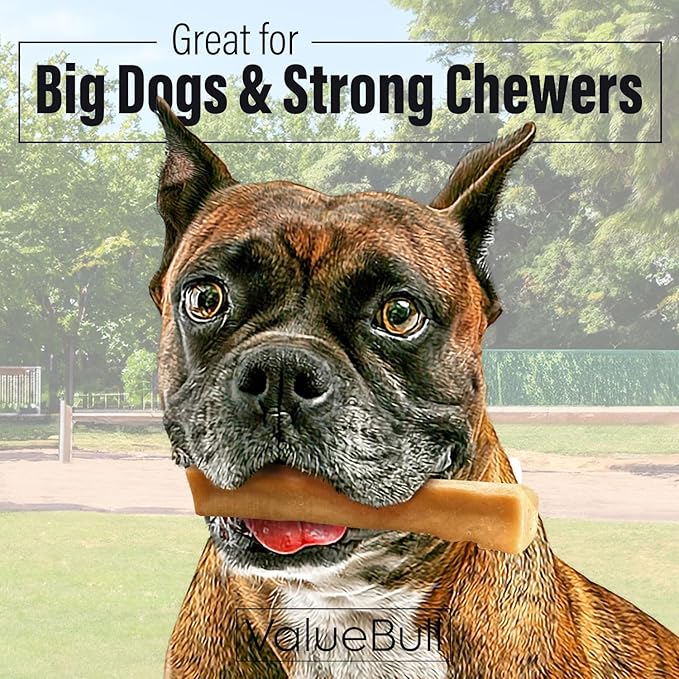 ValueBull Himalayan Yak Cheese Dog Chews, Large, 10 ct - Long Lasting for Aggressive Chewers, All Natural, Healthy & Safe, Low Odor Nepal Yak Milk Chews
