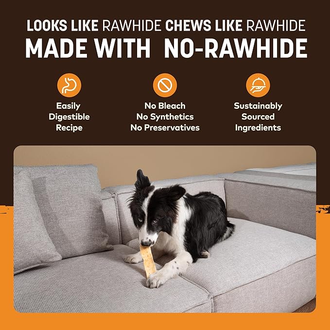 Earth Animal No Hide Strips - Natural Rawhide Free Dog Chew Strips, Chicken - 10 Count Value Pack