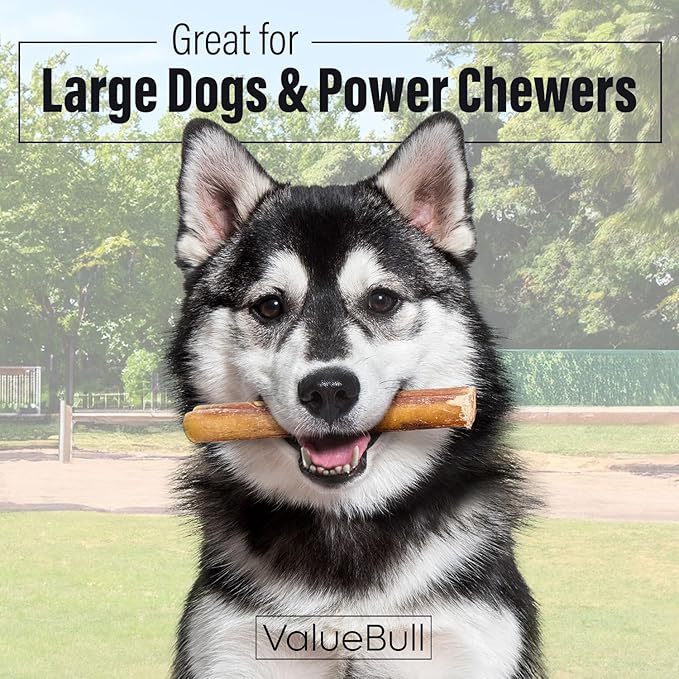 ValueBull Bully Sticks for Large Dogs, Jumbo 6 Inch, 25 Count - All Natural, Grass Fed, Single Ingredient, Long Lasting Dog Treats for Aggressive Chewers