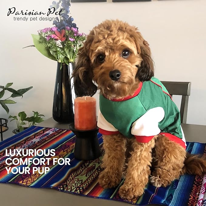 Parisian Pet Dog Jersey – Embroidered Mexico Mesh Fabric Soccer & Sportswear – Lightweight Football Olympic Pet Clothes for Medium Dogs - M