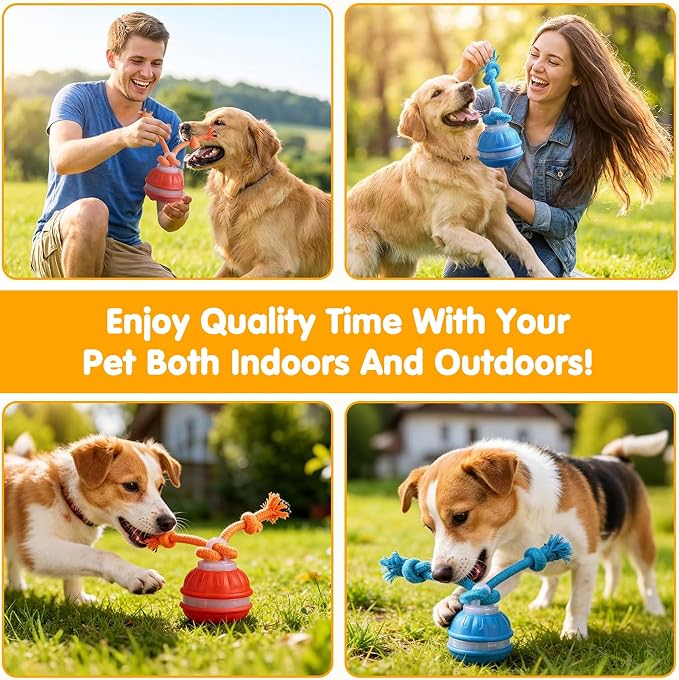 Dog Toys,Interactive Dog Toys,Automatic Moving Activated Dog Toy(Blue) | Upgraded Chase Buddy Dog Toy,Dog Balls with Squeaky for Small/Medium Dogs,Indoor Outdoor Pet Exercise Toy for Keep Them Busy