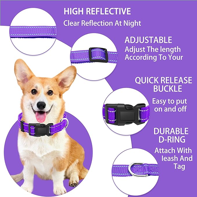 Reflective Dog Collar with Safety Locking Buckle, Adjustable Soft Breathable Nylon Collars for Small, Medium and Large Dogs(Collar+Leash XS Width 3/8" Purple)