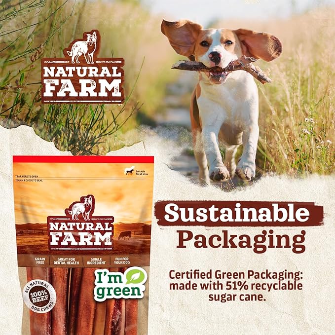 Natural Farm Odor-Free Bully Sticks (12 Inch, 12 Pack), 1.2 lbs. Per Bag, 100% Beef Pizzle Chews, Grass-Fed, Non-GMO, Fully Digestible Long Lasting Best Dental Treats to Keep Your Dogs Busy