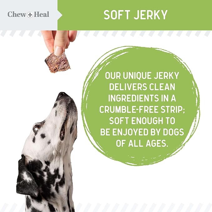 Chew + Heal Labs Low Calorie Dog Jerky Treats - 12 oz of Vegan Plant Based Natural Dog Treats with Chia Seeds, Fruits, and Vegetables - Good for Weight Management - Made in The USA